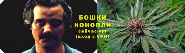 метамфетамин Белокуриха