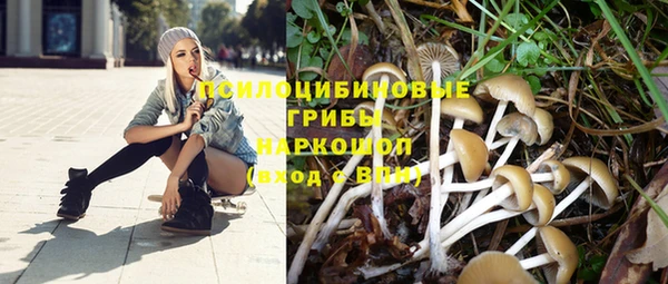 стафф Белоозёрский